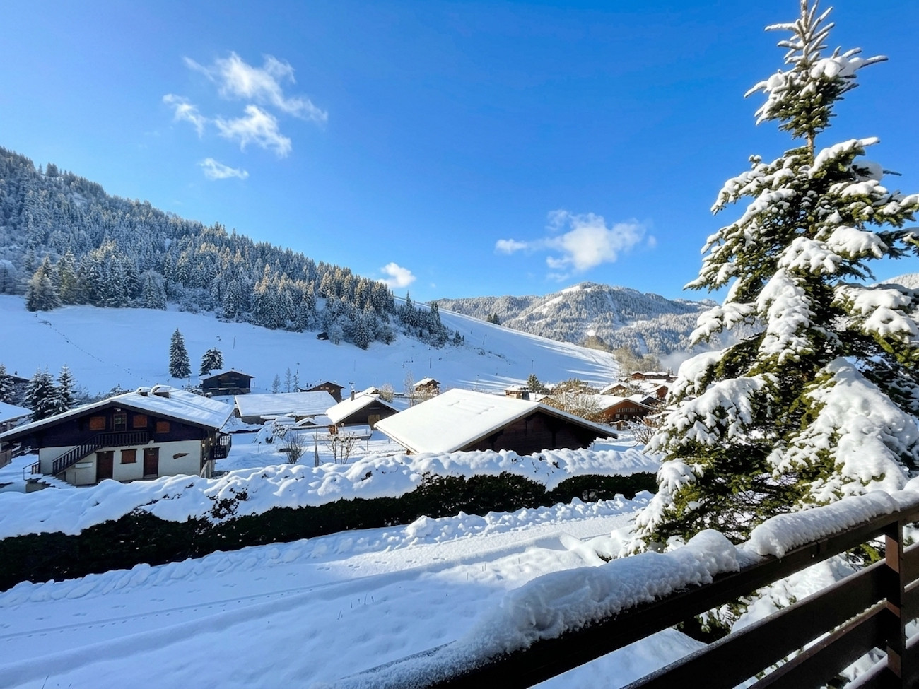 Villa in La Clusaz - ABRICOT - Apartment in a chalet with a terrace and mountain views - Garage