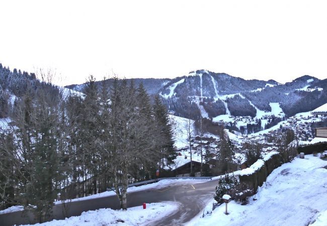 Apartment in La Clusaz - Aulp de Suz' 1 - Half chalet for 6 people 3*  Apartment in La Clusaz - Aulp de Suz' 1 - Half chalet for 6 people 3*