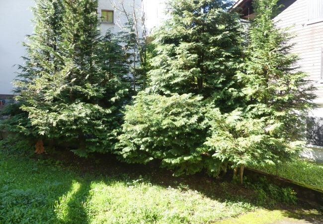 Apartment in La Clusaz - Gentianes 1 - Apartment 3*** in the village, near ski slope for 8 people Apartment in La Clusaz - Gentianes 1 - Apartment 3*** in the village, near ski slope for 8 people