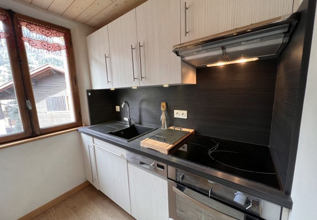 Apartment in La Clusaz - Gentianes 3 bis - Apartment 3*** village center, near ski slope 4 pers. Apartment in La Clusaz - Gentianes 3 bis - Apartment 3*** village center, near ski slope 4 pers.