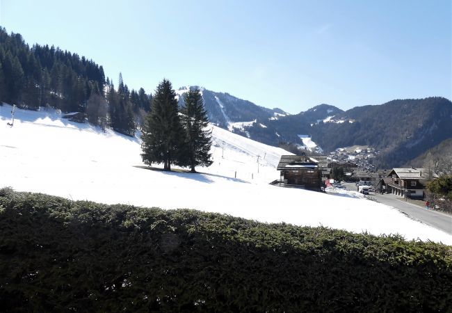 Chalet in La Clusaz - Petit Lutin - Chalet for 6 people on the ski slopes 3* Chalet in La Clusaz - Petit Lutin - Chalet for 6 people on the ski slopes 3*