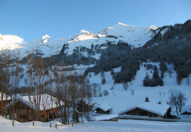 Apartment in La Clusaz - Reposire, apartment 8 - 5 pers. directly south