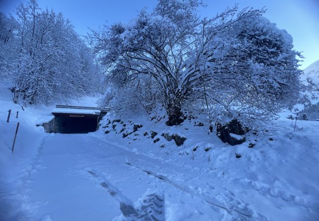 Apartment in La Clusaz - Reposire, apartment 8 - 5 pers. directly south Apartment in La Clusaz - Reposire, apartment 8 - 5 pers. directly south