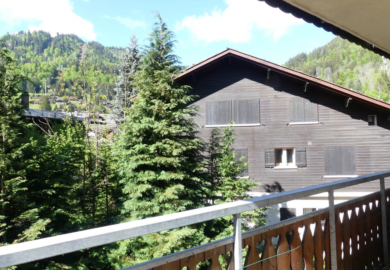Apartment in La Clusaz - Gentianes flat 2 - Apartment 3* in the village, near ski slope for 8 people