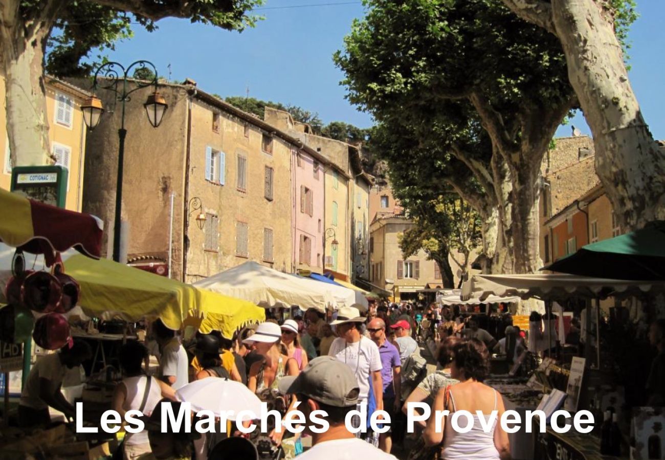 Country house in Fox-Amphoux - CLOS LE LAVANDIN: large property at the gates of the Verdon