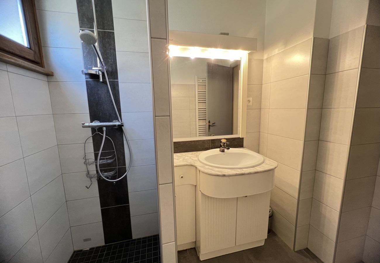 Apartment in La Clusaz - Neige et Roc 1 - Apartment 2* village center for 6 people