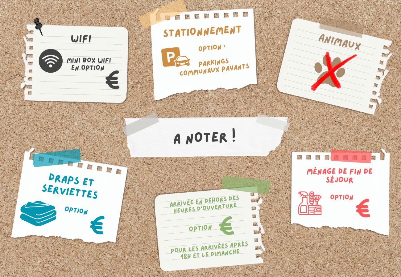 Apartment in La Clusaz - NEW FOR RENT Escale Blanche 1 - 3* star apartment with mezzanine, village center