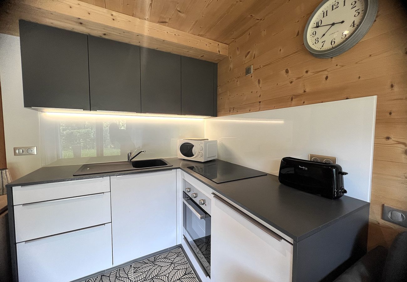 Apartment in La Clusaz - NEW TO RENT Charming modern one-bedroom apartment in a peaceful chalet – terrace/garden, mountain view, Wi-Fi included