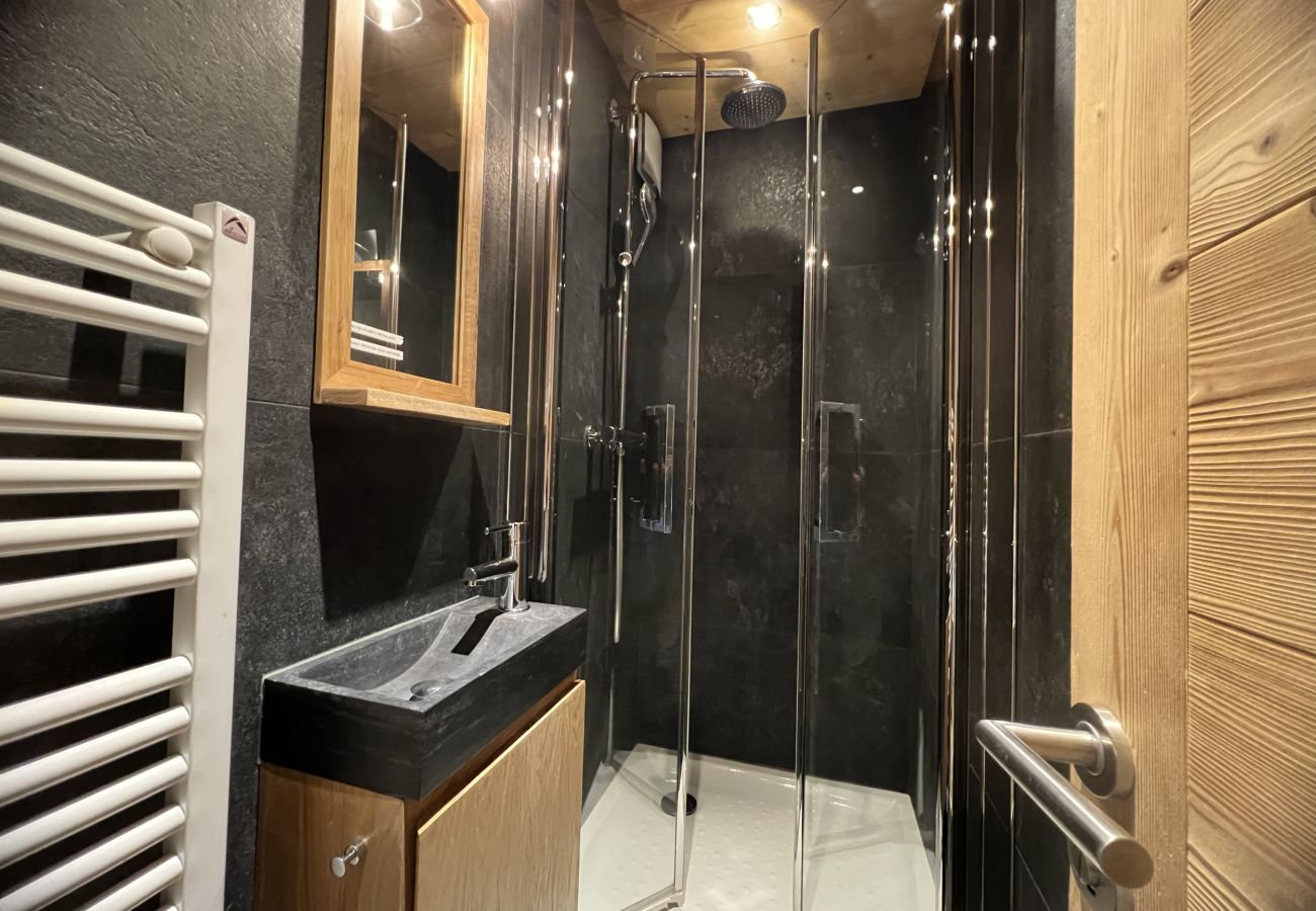 Apartment in La Clusaz - ref 549  Bel appartement rénové  pieds des pistes