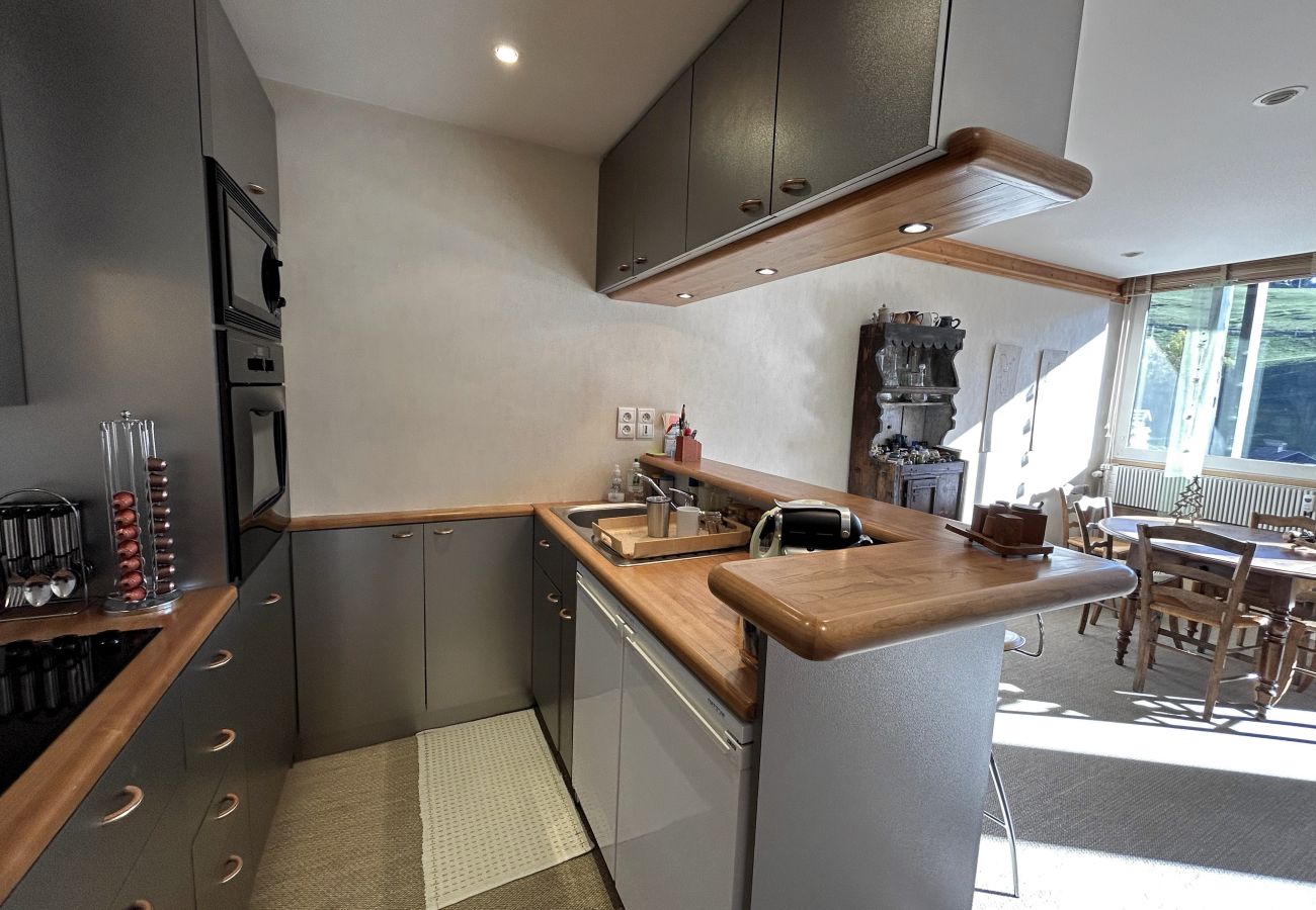 Apartment in La Clusaz - Réf. 562 - Appartement centre village avec vue Sud