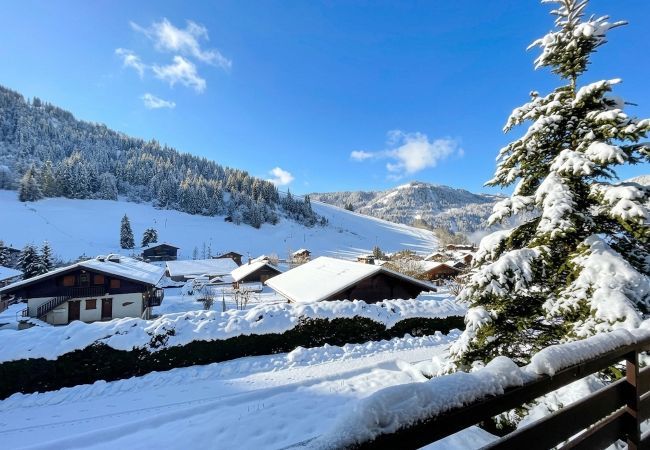 Chalet à La Clusaz - ABRICOT - Appartement dans chalet avec terrasse et vue montagnes - Garage