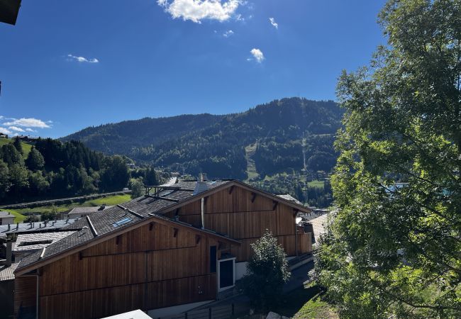 Appartement à La Clusaz - Viking 23 - Appartement 5 pers, centre village, 2* Appartement à La Clusaz - Viking 23 - Appartement 5 pers, centre village, 2*