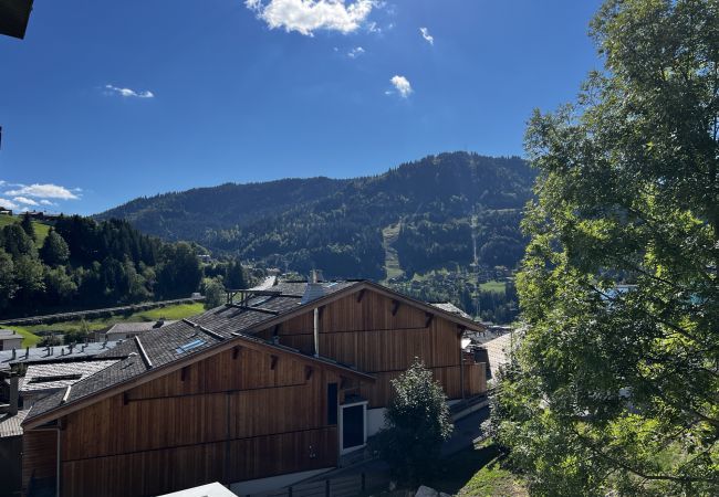 Appartement à La Clusaz - LE VIKING appartement 23