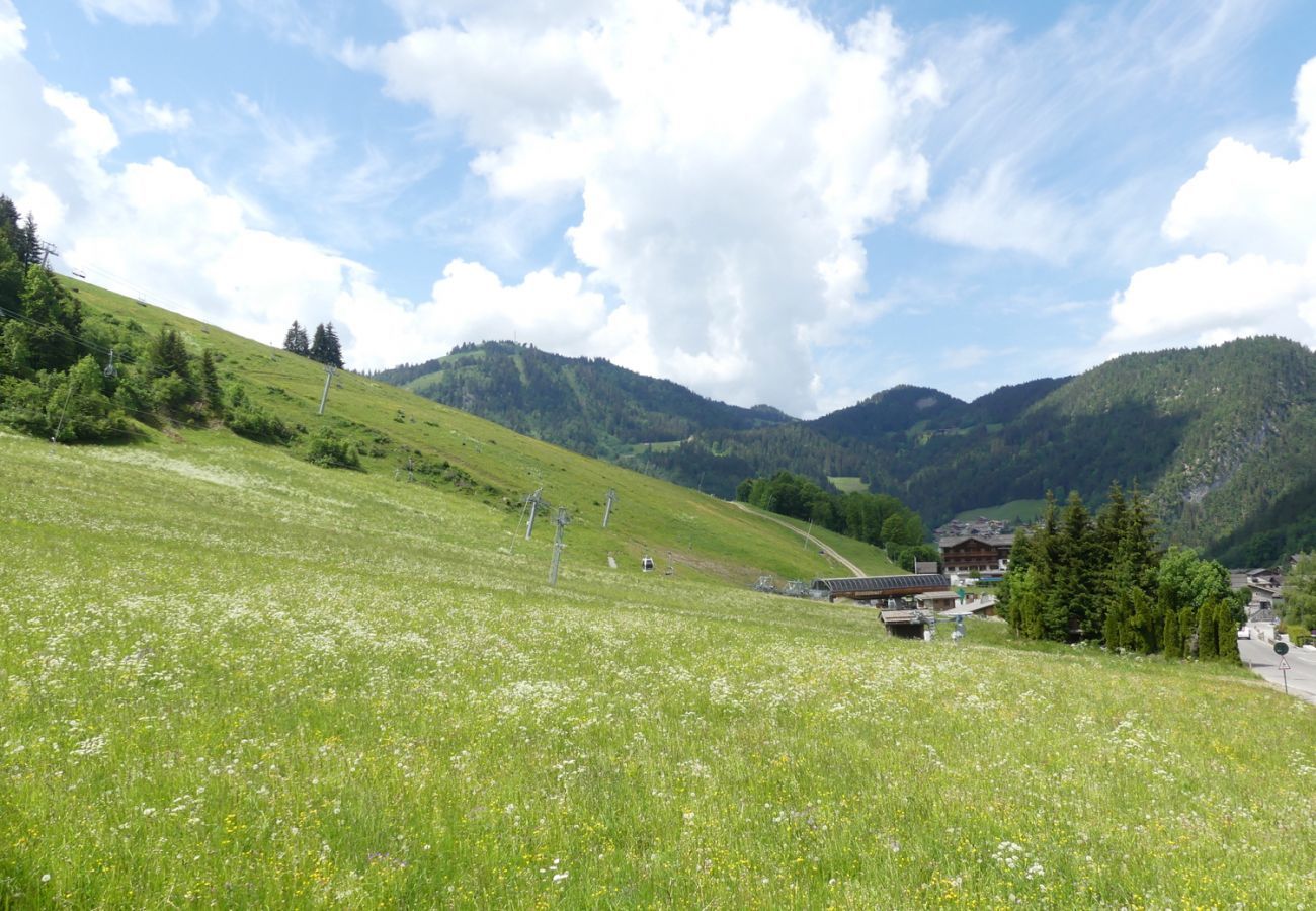 Chalet à La Clusaz - Ty menez 1 - Appartement dans chalet au rez 2*, skis aux pieds  6 pers.