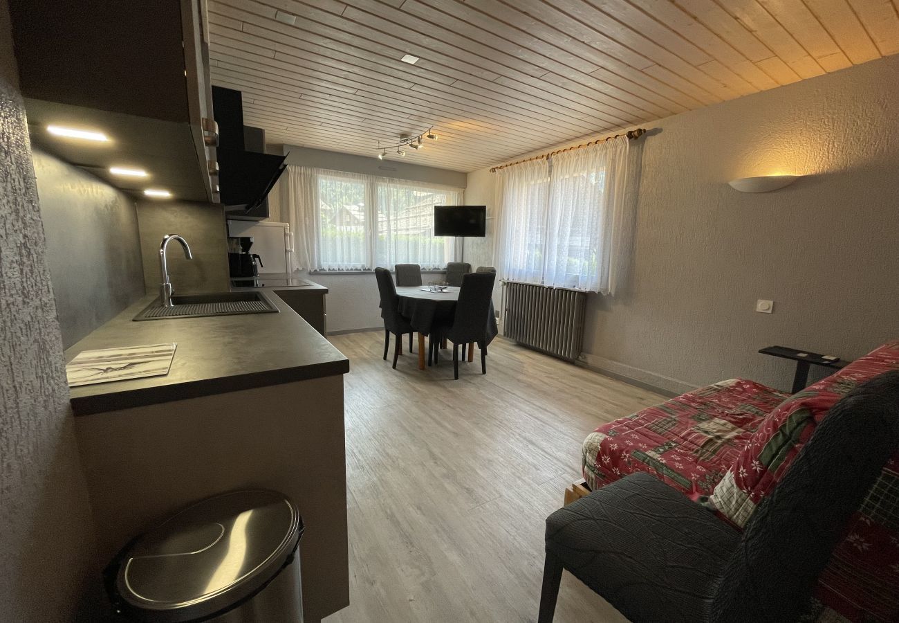 Appartement à La Clusaz - GROTTE AUX FEES D - Appartement skis aux pieds - Wifi - Parking