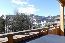 Chalet à La Clusaz - AULP DE SUZ`2