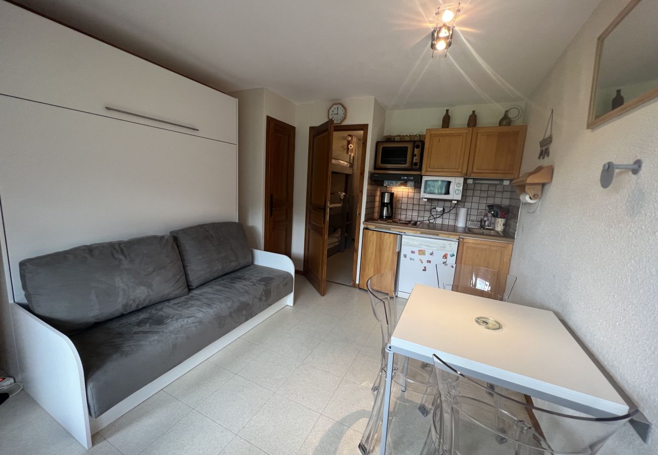 Appartement à La Clusaz - Référence 480