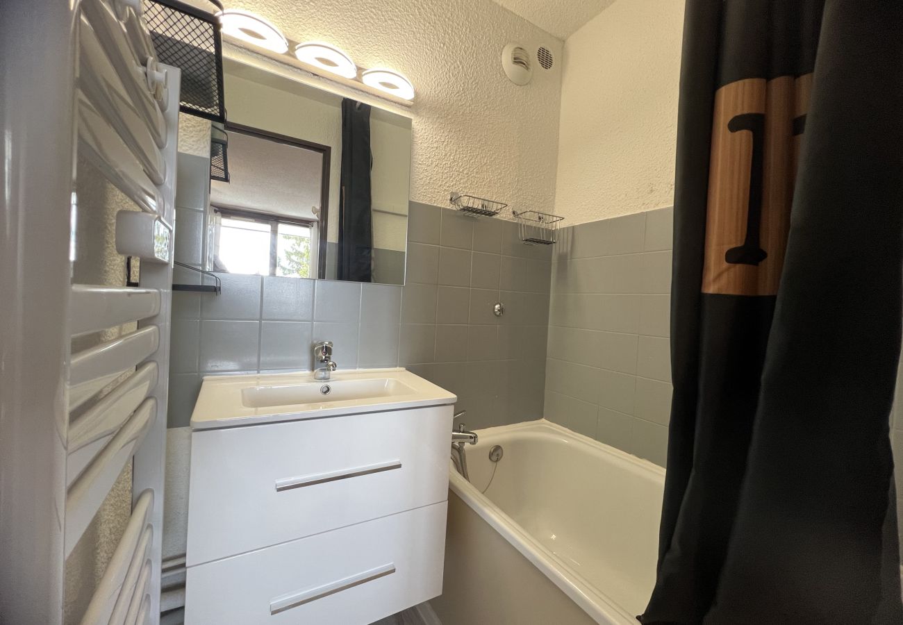 Appartement à Manigod - Réf 547 - Appartement T2 meublé avec vue montagne